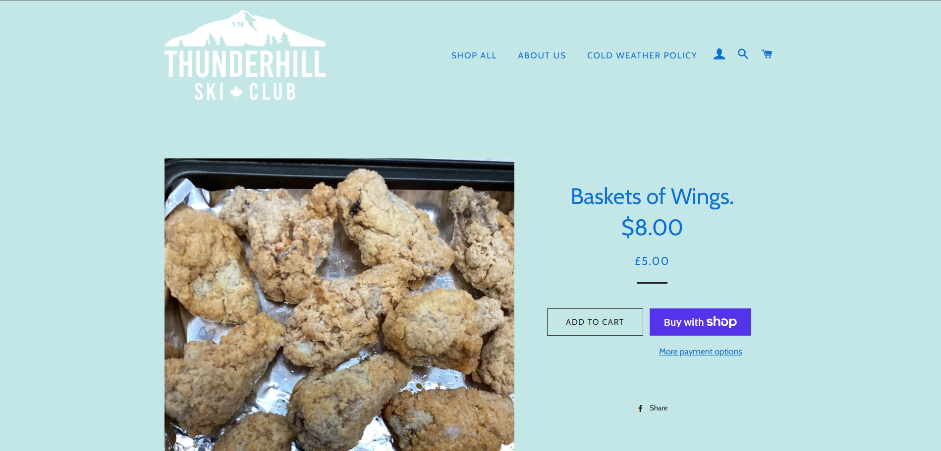 Before Shopify store redesign